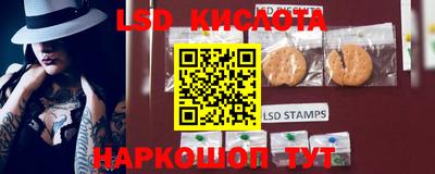 гашик Новозыбков