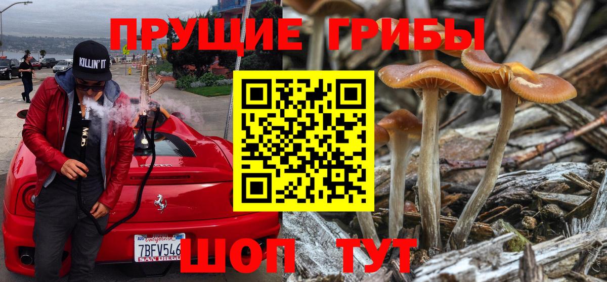 Галлюциногенные грибы Magic Shrooms Удомля