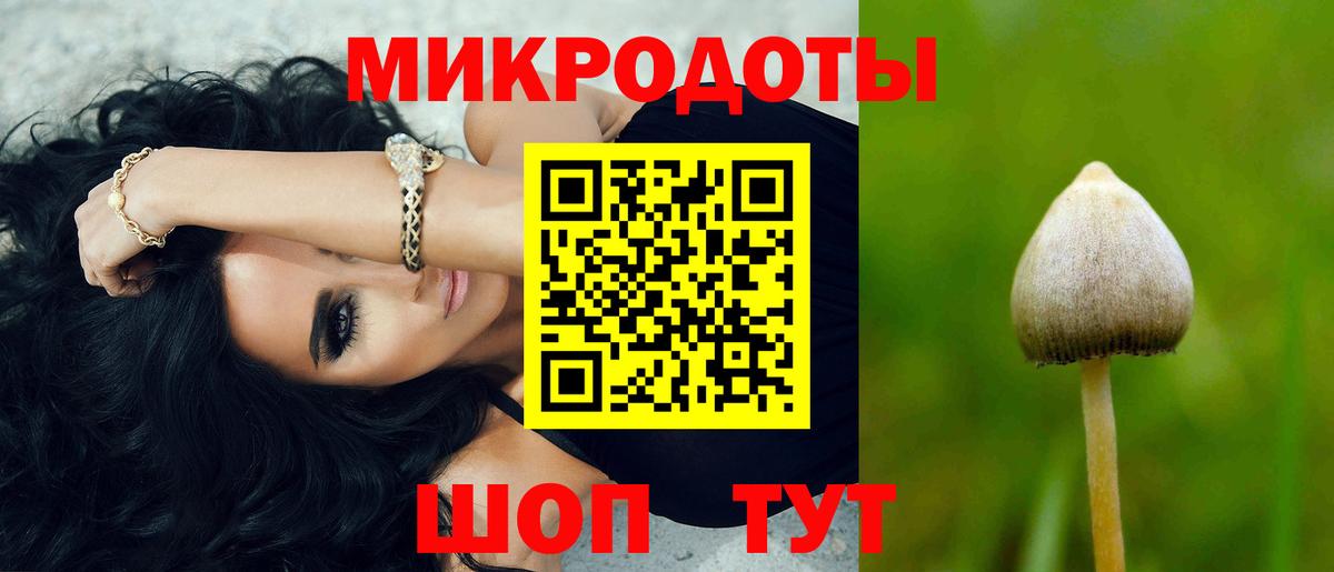 Удомля  Псилоцибиновые грибы Magic Shrooms  Вход с VPN 